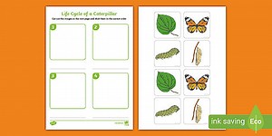 Caterpillar Life Cycle Cut and Stick Worksheet EYFS
