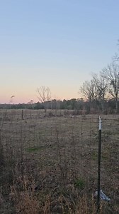 More video | Animal Helper