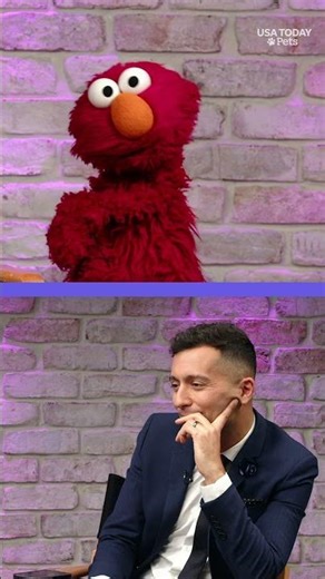 Elmo talks about life with his puppy and holiday cheer