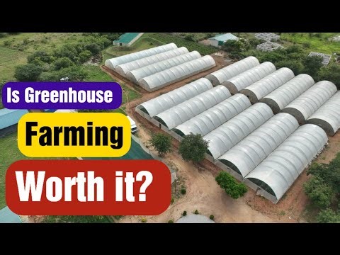 Is Greenhouse Farming Worth It in Africa? WATCH THIS Before You Buy One