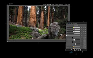 The Control Room app lets you control Lightroom from your smartphone