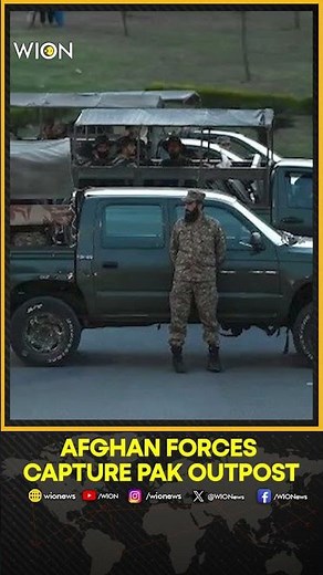 Afghan Forces Capture Pakistani Outpost Along Durand Line; 14 Soldiers Killed | WION Shorts