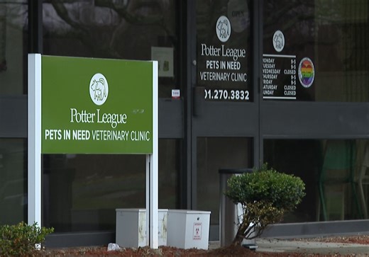 ‘That work must continue’: New low-income vet clinic steps in to fill void left by Pets In Need