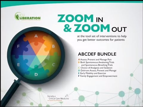 ABCDEF Bundle Implementation Teamwork: An Example of Rounds Using the ABCDEF Bundle