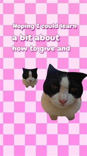 A Time-Weary Cat: The Heartwarming Story of a Life's Journey