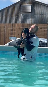 Cocker spaniel Marley swam for the first time with Terrys help her brother sprocker Herbie is a great confidant swimmer 🐾💕💦🇬🇧 | Canine Dip and Dive Maldon