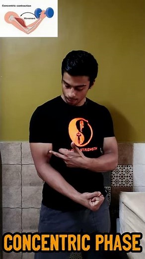 Types Of Muscle Contraction | Concentric Vs Isometric Vs Eccentric Contractions.