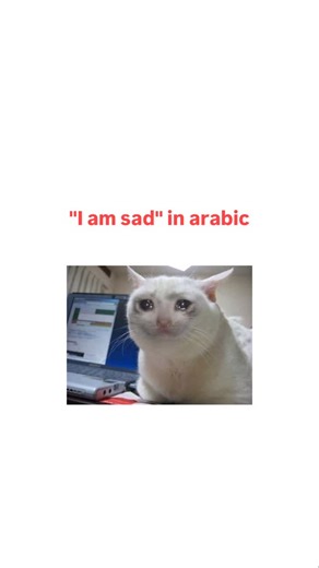 Suparapp on Instagram‎: "مَا فِي فُلُوسٍ مَا حَرْفُ نَفْيٍ → particle of negation (no grammatical case) فِي حَرْفُ جَرٍّ → preposition (gives jarr) فُلُوسٍ اِسْمٌ مَجْرُورٌ بِـ فِي وَعَلَامَةُ جَرِّهِ الْكَسْرَةُ → noun in the genitive case (because of فِي) ⸻ Overall meaning “There is no money.” #arabic #arabiclanguage #arabmemes #muslimmemes"‎