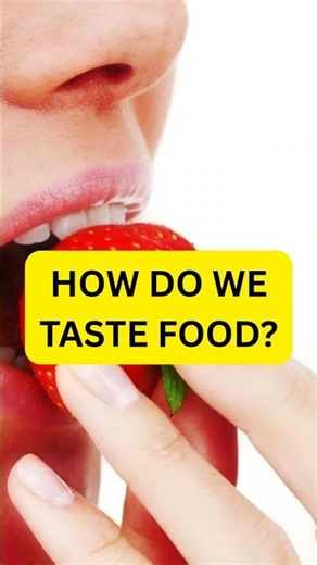 How Does Your Tongue Taste Food?
