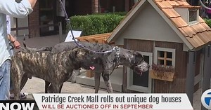 Unique dog houses at Partridge Creek Mall