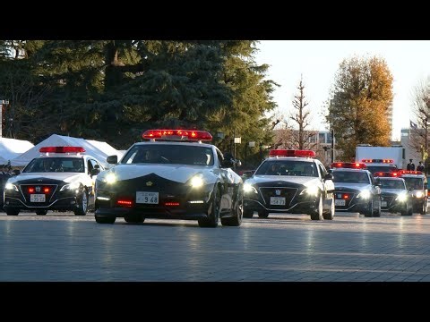 東京都 警視庁 令和7年年頭部隊出動式 車両編 神宮外苑 TokyoPolice MPD 警察 パトカー 覆面 警護 110の日