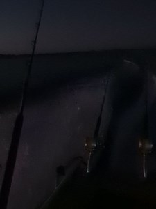 Obsession Fishing on Reels