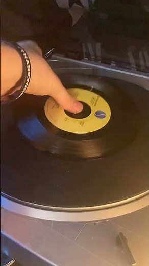 Talking Heads | Wild Wild Life | Timelapse