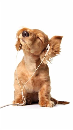 Exploring Theories in 'Stranger Things' Roleplay