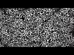 DOORS: DREAD'S DEATH GUIDE