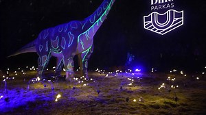 Švytintys dinozaurai. Šviesos karalystė. Radailiuose prie Klaipėdos švyti paslaptingas miškas: https://welovelithuania.com/svytintys-dinozaurai-ir-sviesos-karalyste-sugrizta/ | We love Lithuania