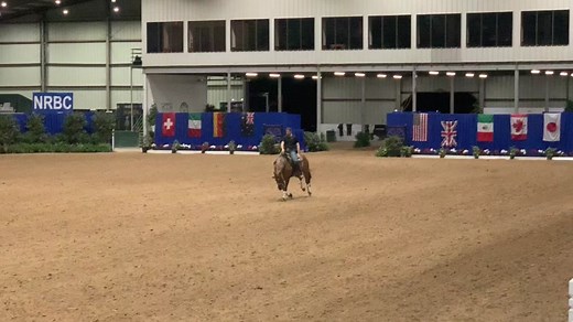 JG Reining on TikTok