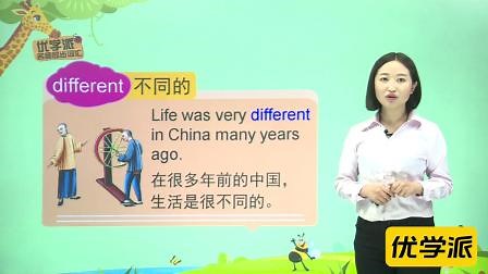 different 形容词不同的