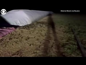 WEB EXTRA: Mice Invade New South Wales, Australia Farm