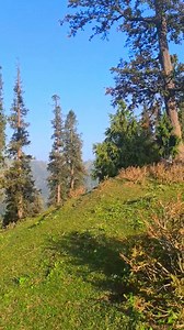 602K views · 10K reactions | Natural Vibes❤  | Nature Beauties | Facebook