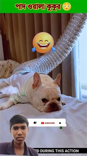 Dog with paws 😅 #bucketlist​ #outdoors​ #camping​