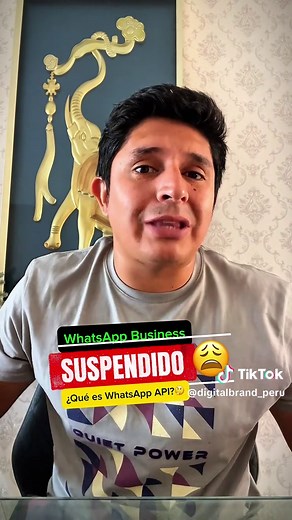 Evita Bloqueos en WhatsApp Business con la API