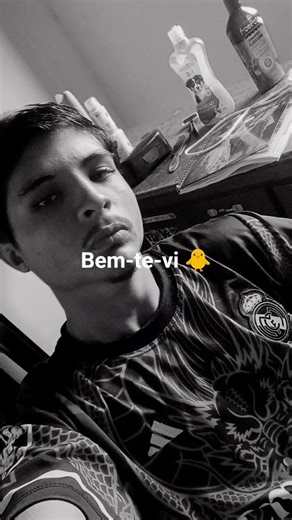 Bem-te-vi #shorts #shortvideo #music #memes