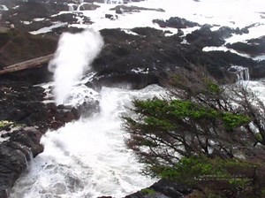 Central #OregonCoast: crazed Cook's Chasm chaos. The spouting horn just south of Yachats goes bonkers. You can even hear it hiss. It's a "wee" bit windy, thus hard to keep the cam still. More on this https://www.beachconnection.net/vtour_lane9.htm #OregonCoastBeachConnection | Oregon Coast Beach Connection
