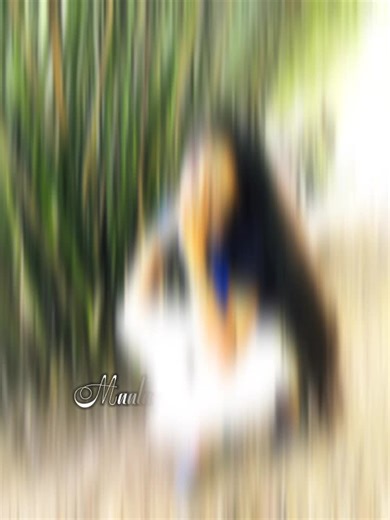 ♥️Suddhi ♥️ on TikTok