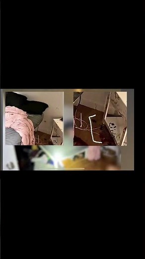 Idaho 4 Case Part 2: Detailed Blood Spatter & Crime Scene Analysis in Bryan Kohberger Investigation”