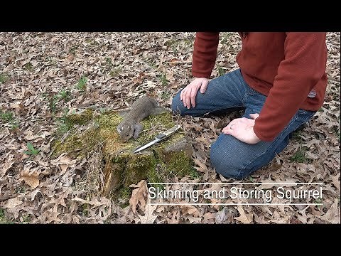 The Best Way to Skin and Freeze Squirrel