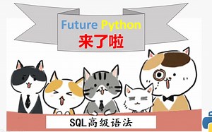 4SQL高级语法