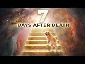 Edgar Cayce REVEALS: Your Dog's Soul Journey in the First 7 Days After Death (Comforting Truth)