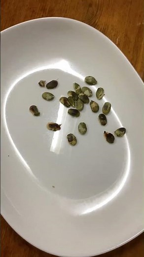 かぼちゃの種を食べました#かぼちゃの種#料理