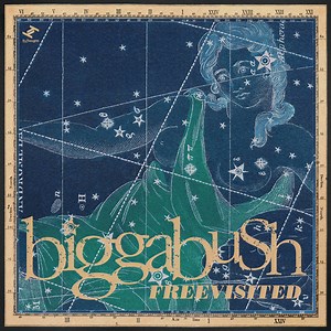 biggabush - BiggaBush Freevisited
