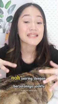 Kenali Ciri-cirinya, siapa Tau kucing kalian lagi hamil..