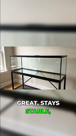 20 Gallon Tank Changed Everything for Me #aquarium #beginner