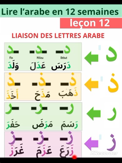 Apprenez l'arabe en 12 semaines avec nos cours