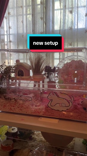 Creating a Cozy Hamster Cage Setup
