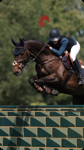 A brilliant performance from Francesca Young & Carrickview Libretto...