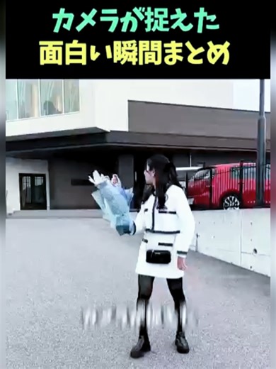 面白い瞬間まとめ：カメラが捉えた笑いの共有