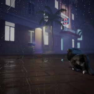 8.2K reactions · 342 shares | Cute kittens are waiting for U at Kitten Match! | Kitten Match | Facebook