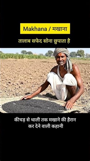 How Makhana Is Made 😲 | From Lotus Seed to Snack