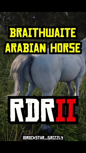 Red Dead Redemption 2 Arabian Horse Locations Guide