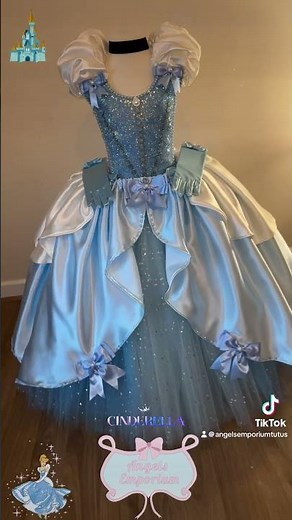 💙 Princess Cinderella Theme Park Disneyland Costume Tutu Dress 💙#disney #christmas
