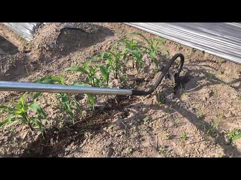 Love THE DUC's Man-Pulled Plow. works well on my soil that have some rocks (29/798,086 )