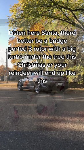 Its a fake animal tiktok #rx8 #mazda #rotary #2006 #cartiktok #cartok #carguy #fyp #fypp #foryou #foryoupage #13b #rx7 #renesis13b #renesis #santa #christmas #reindeer #3rotor #bigturbo