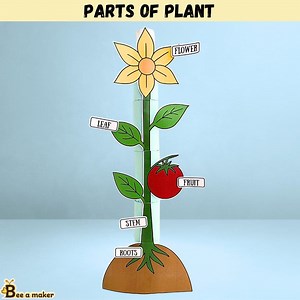 Parts of Plant Pdf, Science Activity Model - Etsy Canada