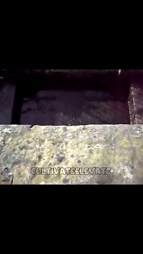 140K views · 4.3K reactions | The Secret Blessing of Brass #brass #brassjewelry #copperhair #copper #copperjewelry #copperwirejewelry #copperwire #history #historyfacts #historybuff #historylovers #historynerd #historyfacts #HistoryChannel #tartaria #tartarianempire #tartarianarchitecture #cathedral #oldbuildings #oldworld #cultivateelevate #fyp #fypviralシ #fypシ #viralreelschallenge #viralshorts #viralreelsfb #reels #reeloftheday #facebookreel | Cultivate Elevate Shorts | Facebook