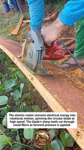 Fast Wood Cutting with Circular Saw Power | #Woodworking #Tools #DIY